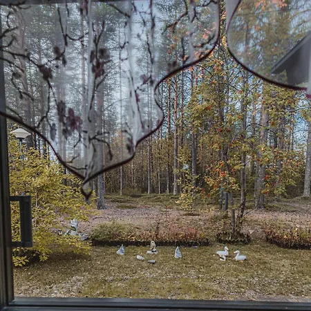Perhe In Salla-kuusamo