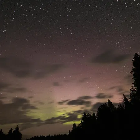 Huvilat Perhe In Salla-kuusamo Salla