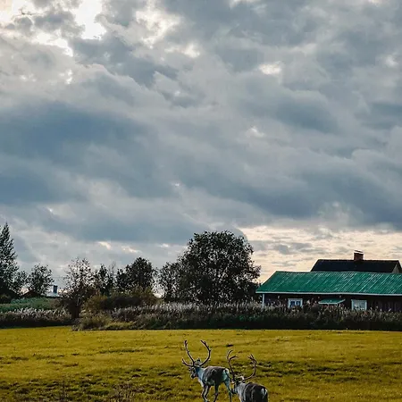 Perhe In Salla-kuusamo * Salla