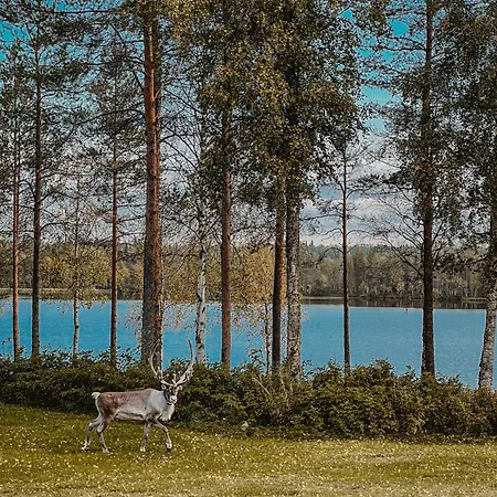 Perhe In Salla-kuusamo Huvilat