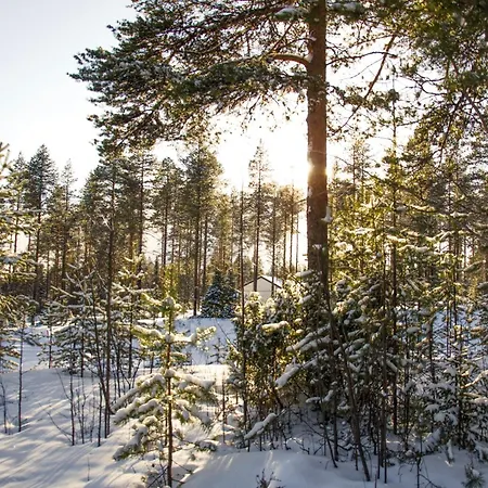 Perhe In Salla-kuusamo *